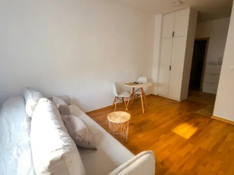 Sale, studio apartment, 32m², Golubovina, Budva - image 3
