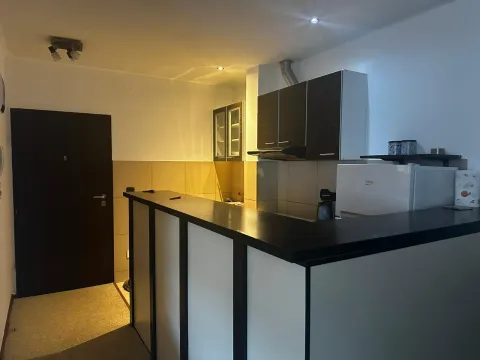 Manja kuhinja sa šankom i tamnim elementima. - image 17