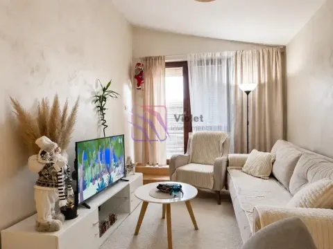Sale, two bedroom apartment, 42m², Preko Morače, Podgorica - image 9