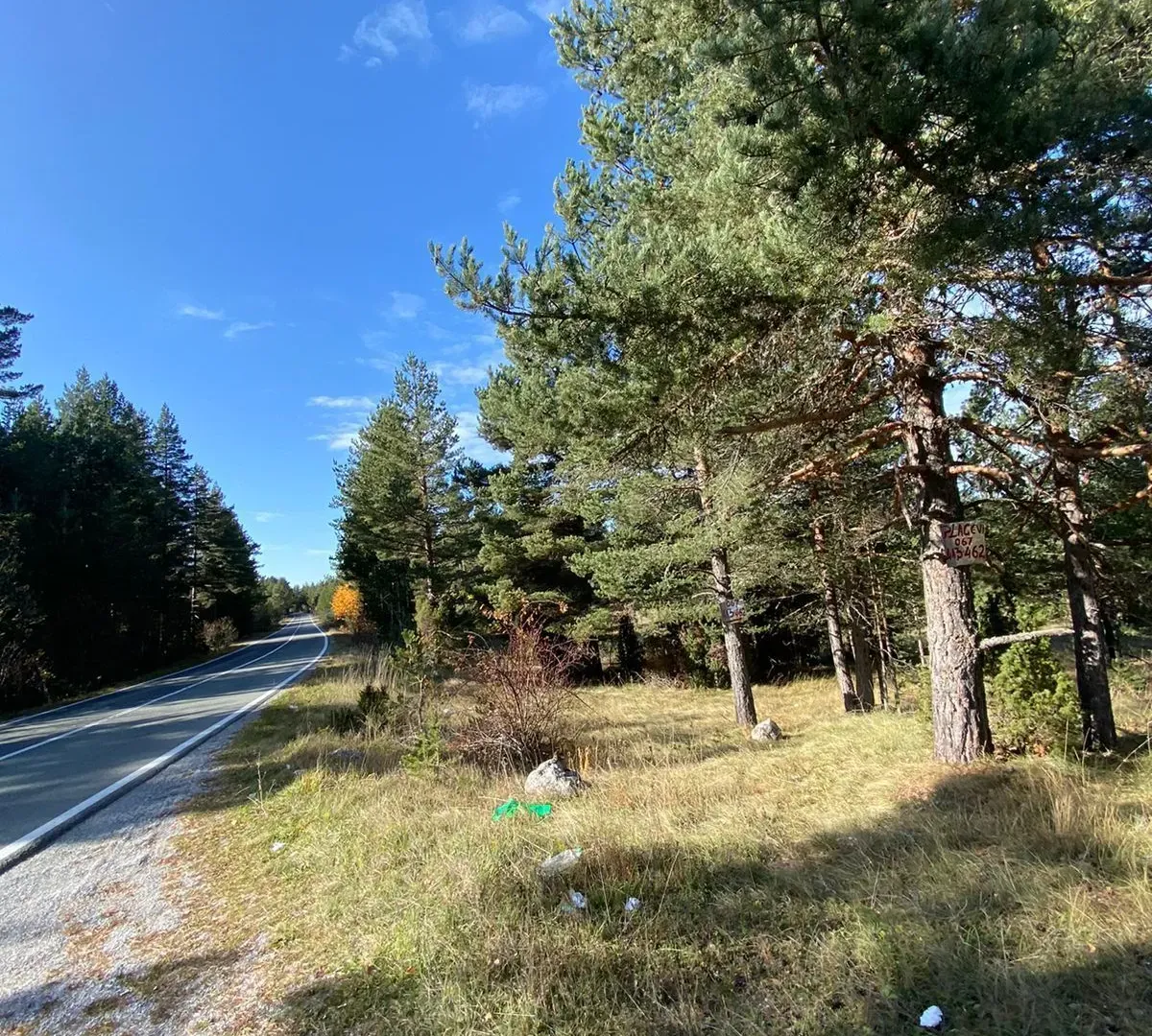 Prodaja, plac, 59443m², Žabljak, Crna Gora