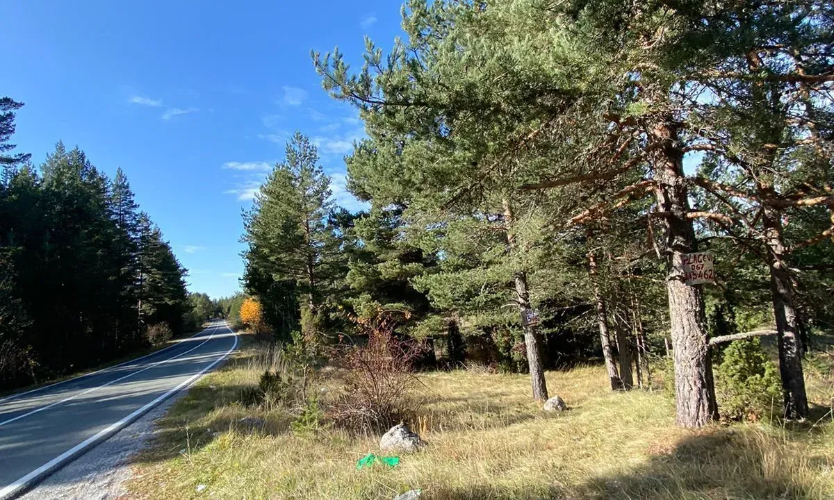 Prodaja, plac, 59443m², Žabljak, Crna Gora