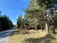 Prodaja, plac, 59443m², Žabljak, Crna Gora - image 1