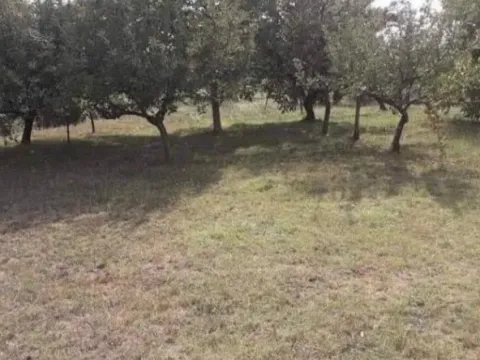 Sale, house, 100m², Kosić, Danilovgrad - image 7