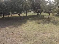 Sale, house, 100m², Kosić, Danilovgrad - image 7