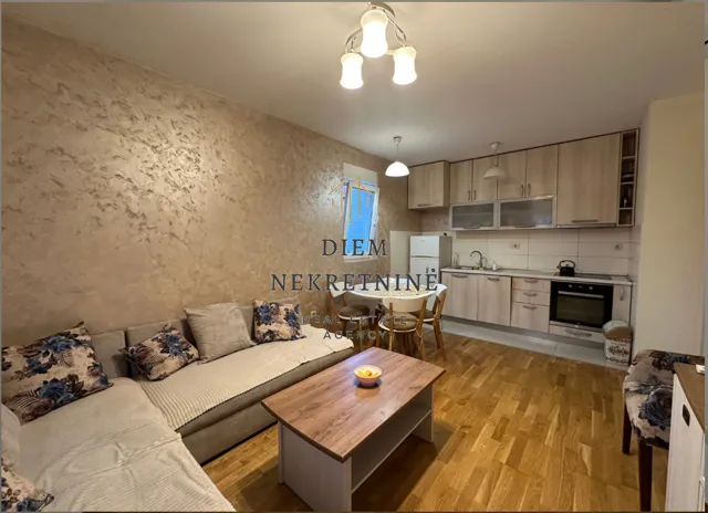 Izdavanje, dvosoban stan, 47m², Zabjelo, Podgorica