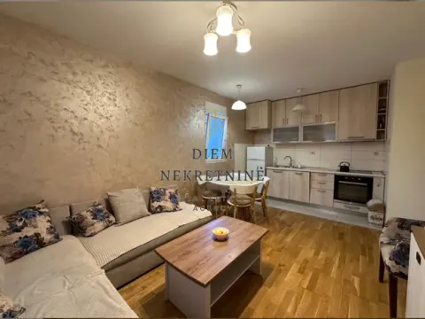 Izdavanje, dvosoban stan, 47m², Zabjelo, Podgorica - image 10