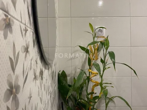 Izdavanje, jednosoban stan, 35m², Slavija, Vračar Sve Podlokacije - image 7