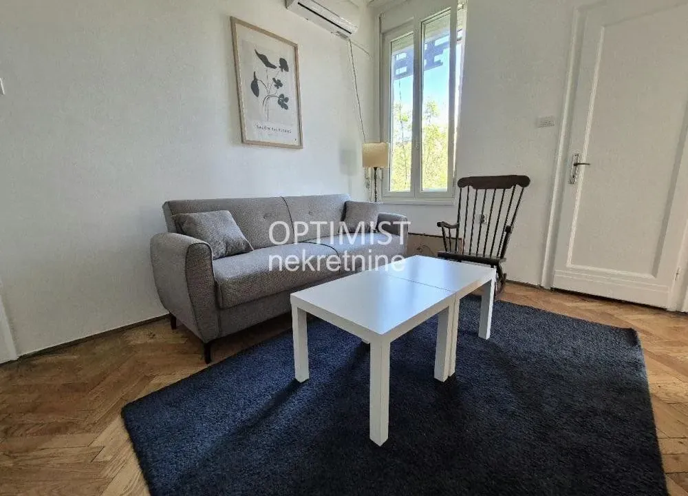 Izdavanje, dvosoban stan, 52m², Južni Bulevar, Vračar Sve Podlokacije