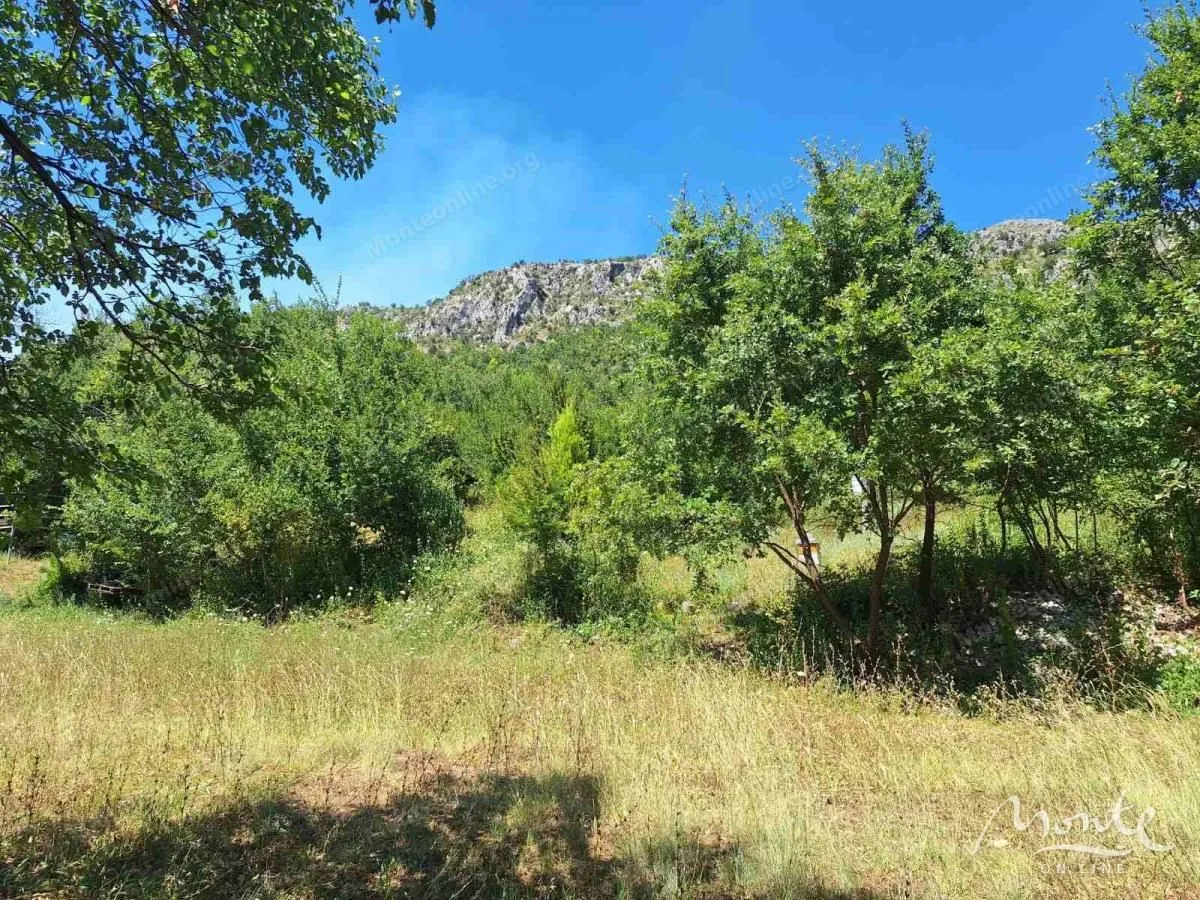 Prodaja, plac, 94785m², Beri, Podgorica
