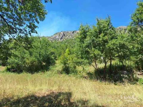 Prodaja, plac, 94785m², Beri, Podgorica - image 8