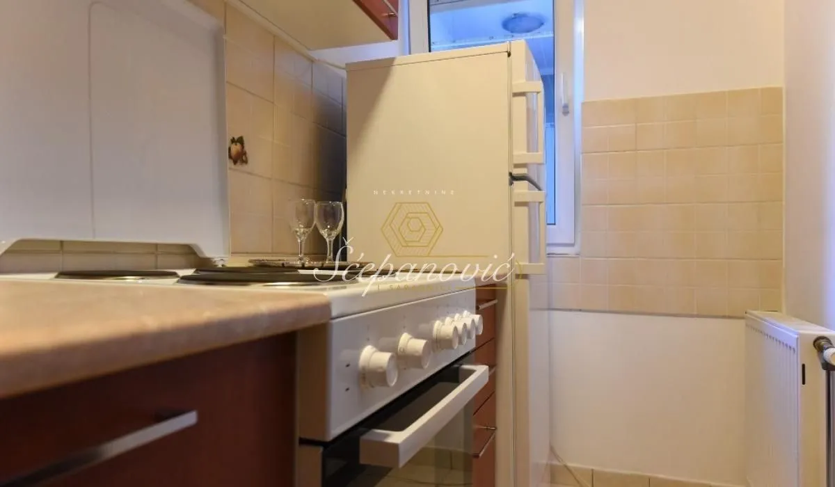 Izdavanje, dvosoban stan, 49m², Betanija, Novi Sad Sve Podlokacije