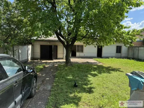 Prodaja, kuća, 200m², Alibunar, Srbija - image 14