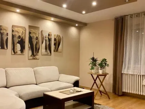 Prodaja, dvosoban stan, 47m², Banatić, Novi Sad Sve Podlokacije - image 2