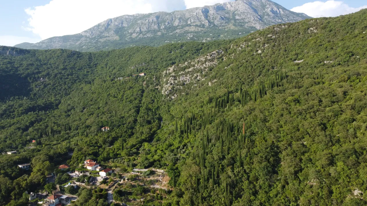 Sale, land lot, 8000m², Mojdež, Herceg Novi