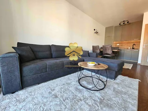 Izdavanje, jednosoban stan, 50m², Master Kvart, Podgorica