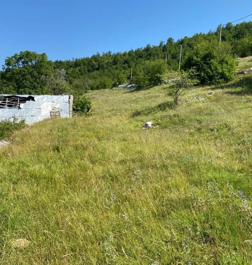 Sale, land lot, 30000m², Kuči, Podgorica