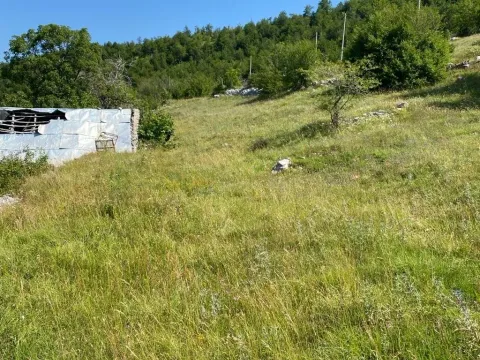 Sale, land lot, 30000m², Kuči, Podgorica - image 6