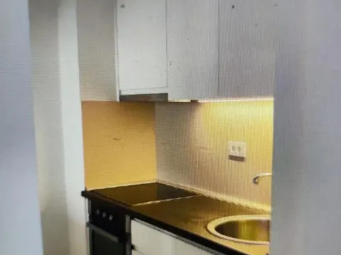 Izdavanje, dvosoban stan, 44m², Lion, Zvezdara Sve Podlokacije - image 5