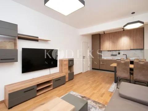 Rent, one bedroom apartment, 48m², Zabjelo, Podgorica - image 3