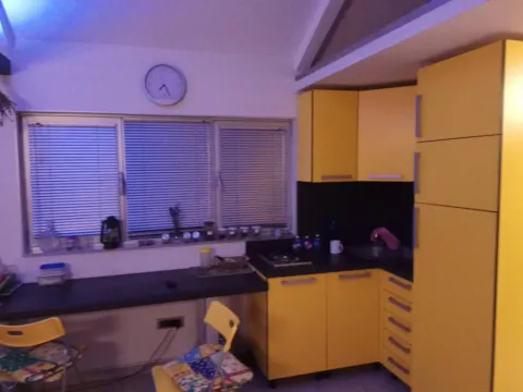 Sale, house, 30m², Ribnjak, Petrovaradin - image 8