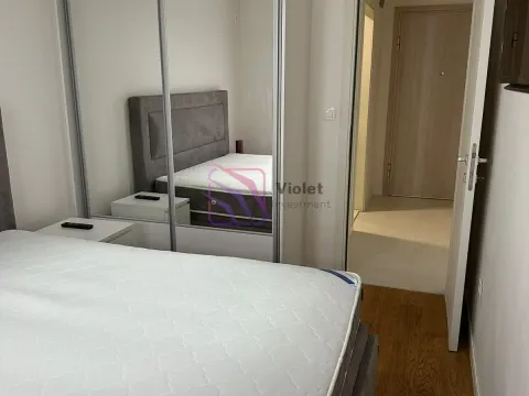 Rent, one bedroom apartment, 48m², Central Point, Podgorica - image 7