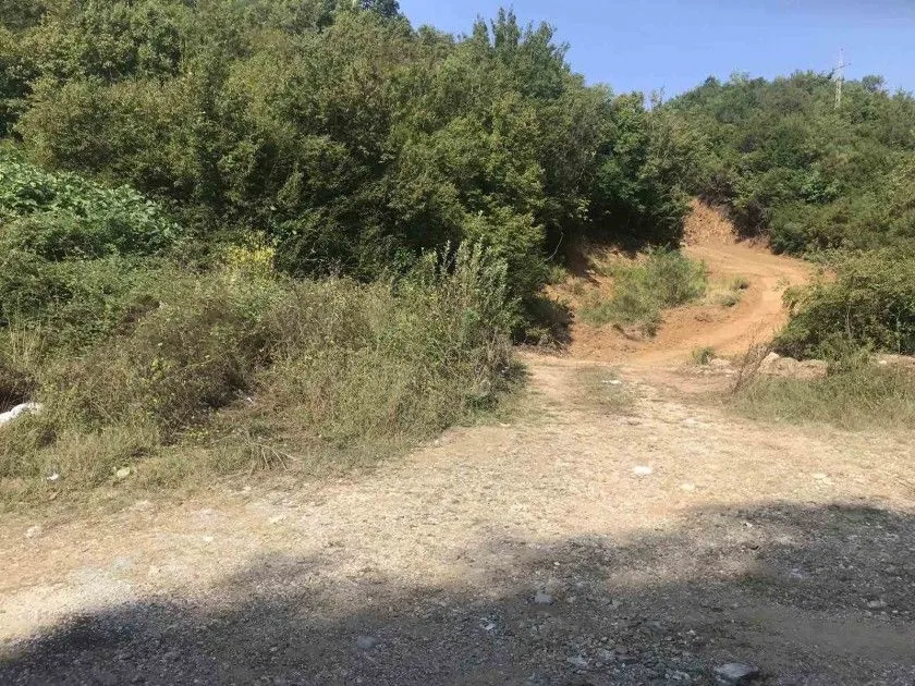 Prodaja, plac, 13946m², Kotor, Crna Gora