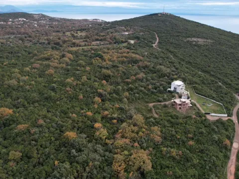 Prodaja, plac, 15500m², Zagora, Kotor - image 9