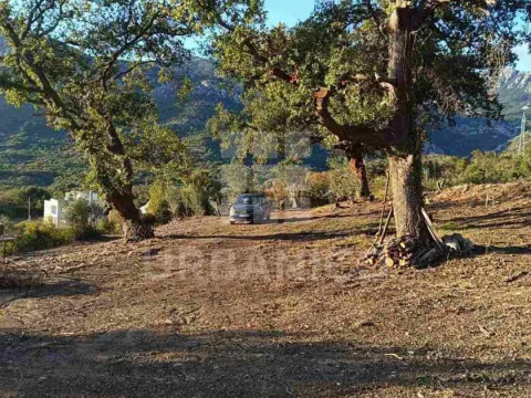 Prodaja, plac, 4800m², Bjeliši, Bar - image 2