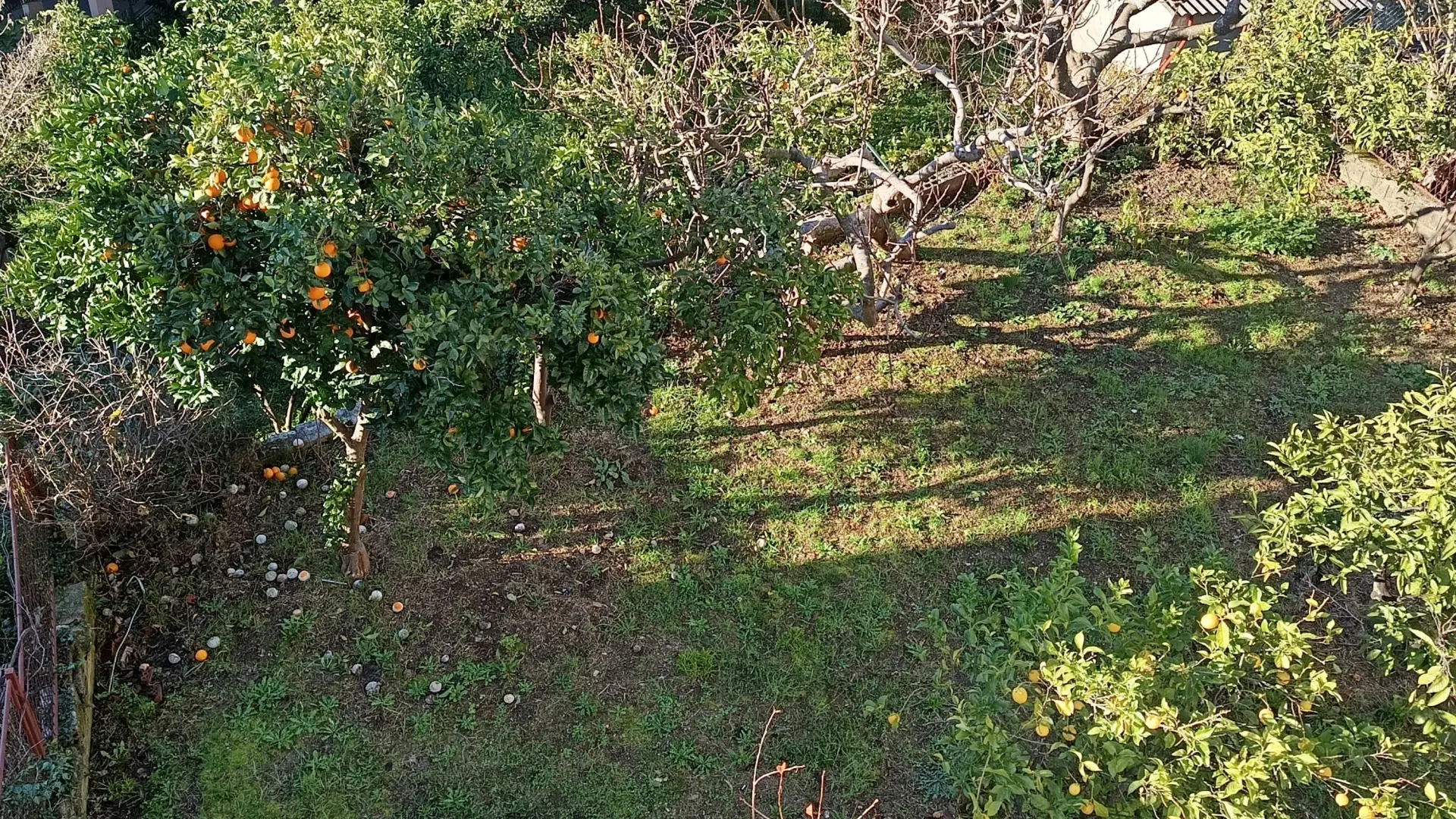 Prodaja, kuća, 237m², Topla, Herceg Novi