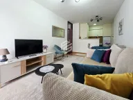 Rent, one bedroom apartment, 44m², Stara Varoš, Podgorica - image 3