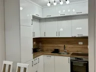 Izdavanje, jednosoban stan, 43m², Zabjelo, Podgorica - image 10