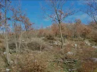 Sale, land lot, 9500m², Piperi, Podgorica - image 11