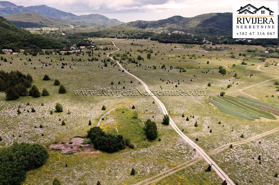 Prodaja, plac, 14200m², Vrbanj, Herceg Novi