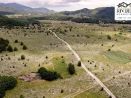 Sale, land lot, 14200m², Vrbanj, Herceg Novi - image 7