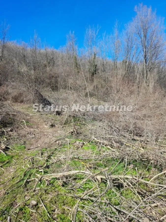 Prodaja, plac, 7025m², Sremski Karlovci, Novi Sad