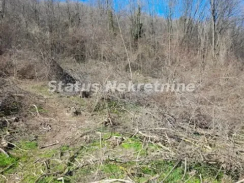 Sale, land lot, 7000m², Sremski Karlovci, Novi Sad - image 11