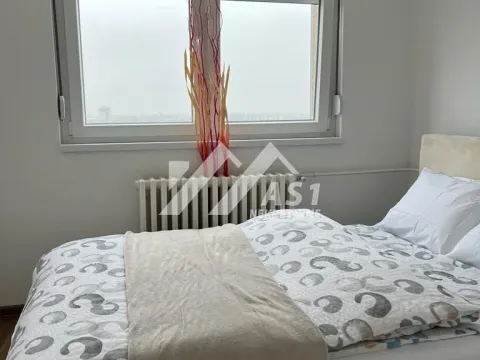 Izdavanje, dvosoban stan, 40m², Železnička Stanica, Novi Sad Sve Podlokacije - image 5