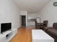 Izdavanje, jednosoban stan, 50m², Stari Aerodrom, Podgorica - image 1