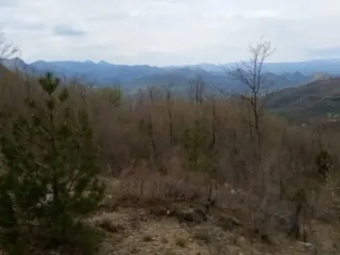 Prodaja, plac, 12000m², Centar, Bar - image 2