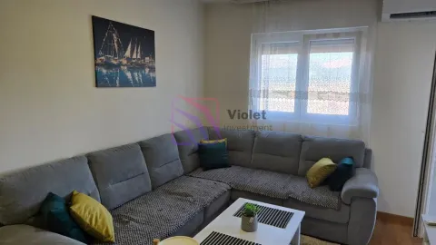 Izdavanje, jednosoban stan, 44m², Zagorič, Podgorica - image 4