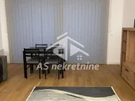 Izdavanje, dvosoban stan, 53m², Zemun Sve Podlokacije, Beograd - image 3