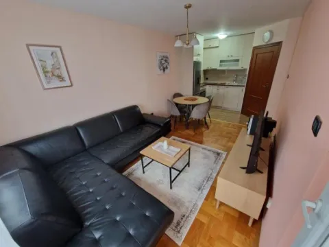 Izdavanje, dvosoban stan, 55m², Krivi Most, Podgorica - image 4