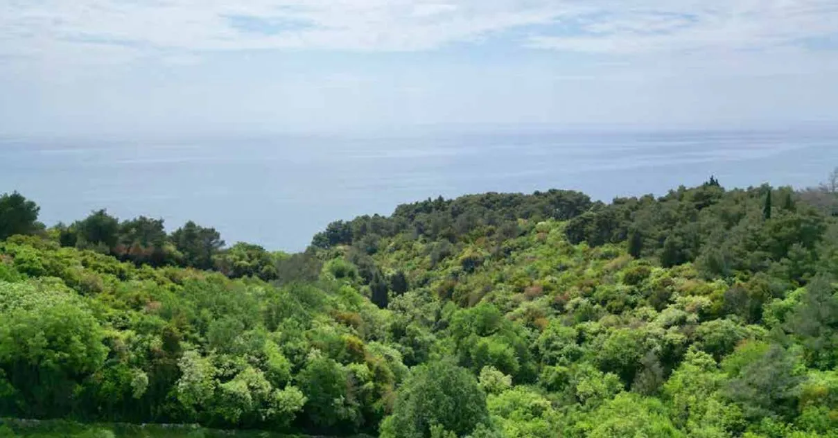 Prodaja, plac, 22800m², Ulcinj, Crna Gora