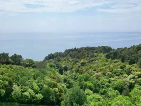 Prodaja, plac, 22800m², Ulcinj, Crna Gora - image 5