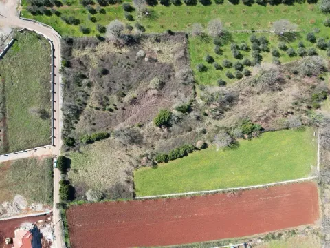 Prodaja, plac, 3520m², Krimovica, Kotor - image 5