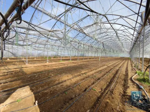 Prodaja, kuća, 203m², Jagodina, Srbija - image 22