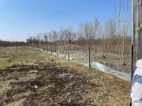 Zemljište in Kelebija