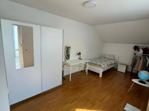 Rent, house, 320m², Višnjička Banja, Palilula Sve Podlokacije - image 24