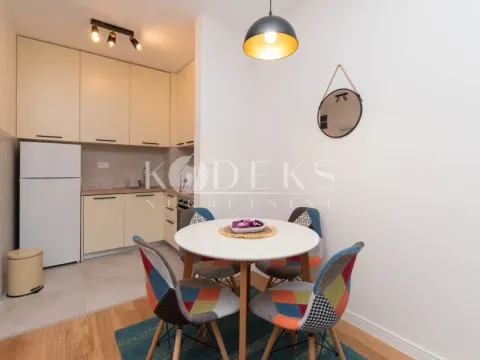 Izdavanje, jednosoban stan, 39m², Central Point, Podgorica - image 6