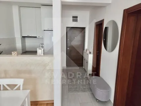 Izdavanje, jednosoban stan, 49m², Tuški Put, Podgorica - image 9